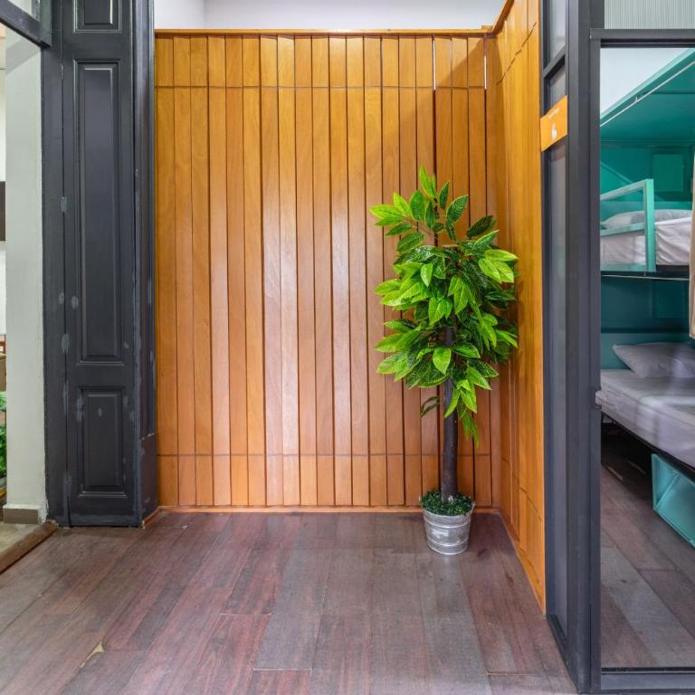 Hostel Bemaro Mexico City - Bed in 4-Bed Male Dormitory Room - 2