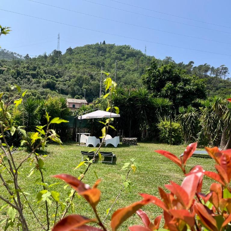 Il noce - case vacanza- - Casa con 1 Camera da Letto - 10