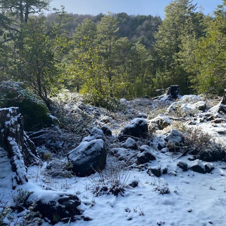 Cabaña en Conguillio nieve con vista al volcan y tinaja - Casa de 3 dormitorios - 11