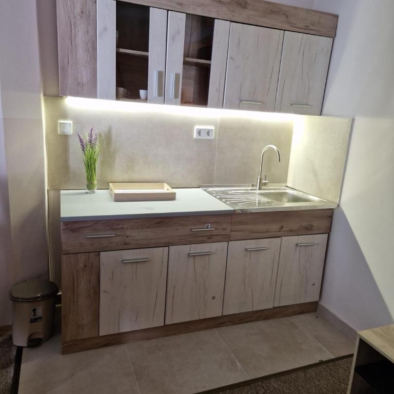 Pansion River - Superior Apartment with River View Terrace - 14