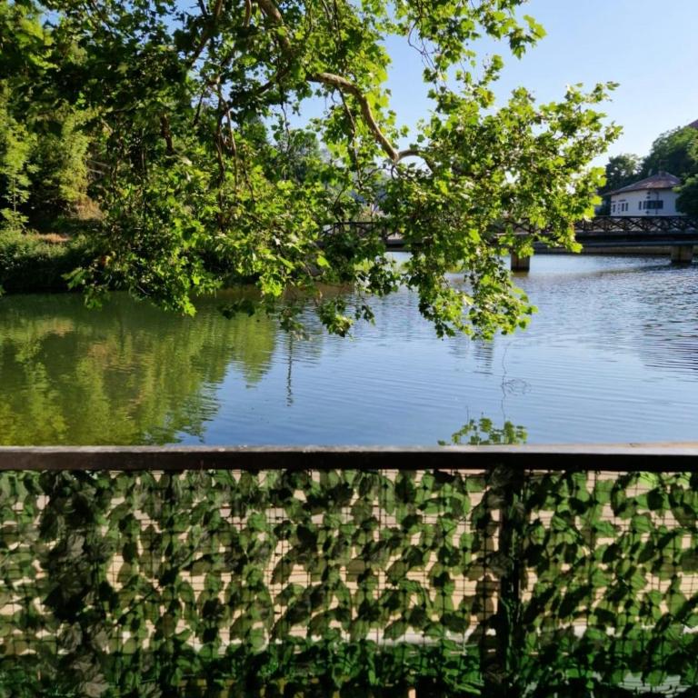 Pansion River - Superior Apartment with River View Terrace - 12