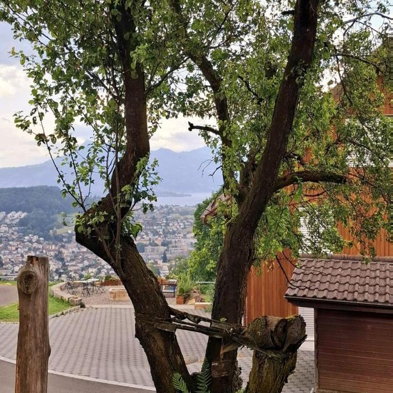Rustic Barn Experience-Surrounded by Nature & Farm - Zweibettzimmer - 19