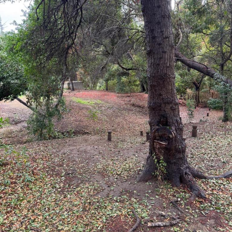 Descanso y naturaleza en Papudo - Apartamento de 2 dormitorios - 14