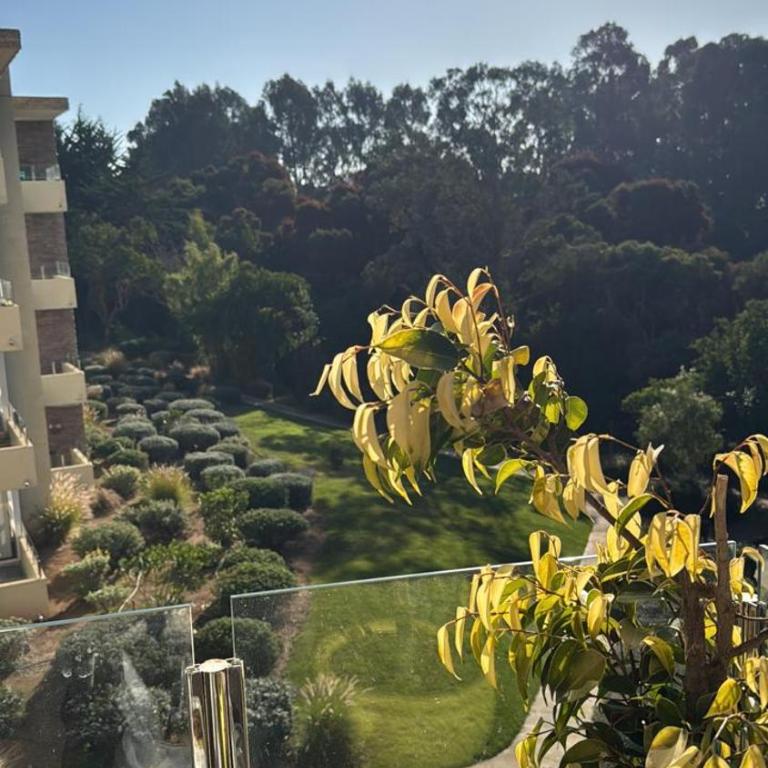 Descanso y naturaleza en Papudo - Apartamento de 2 dormitorios - 44