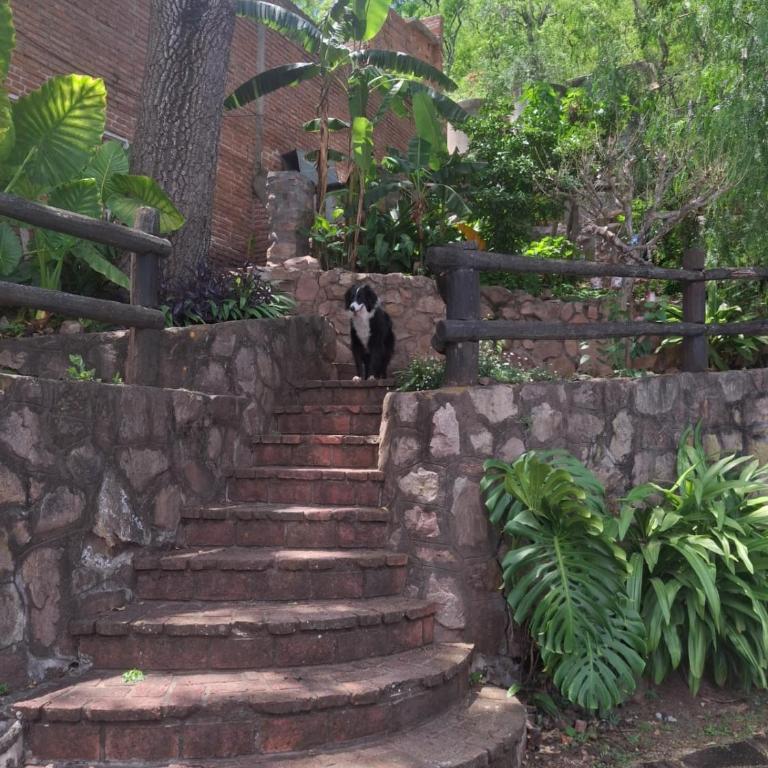 Un espacio en la naturaleza - One-Bedroom Apartment - 13