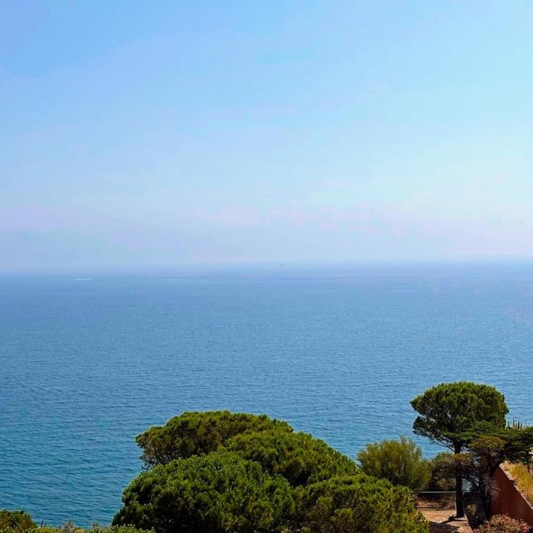 BANYULS-SUR-MER T2 avec vue mer, ascenseur et parking privatif - FR-1-309-102 - Apartamento de 1 dormitorio - 2