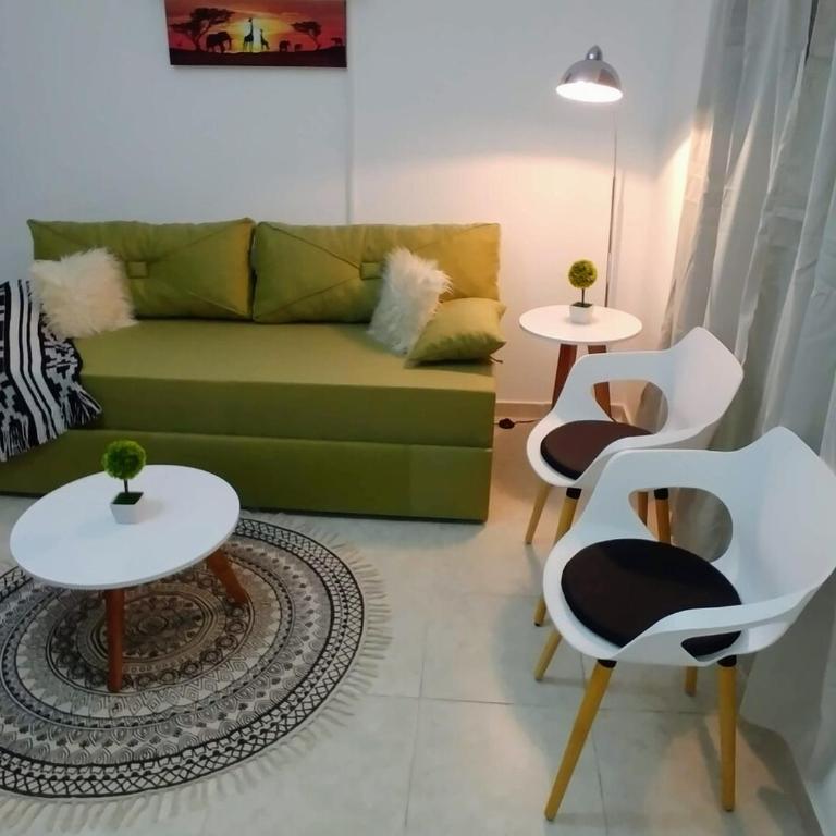 Beautiful One Bedroom Apartment with Garage - Apartamento de 1 dormitorio con vistas a la ciudad - 5