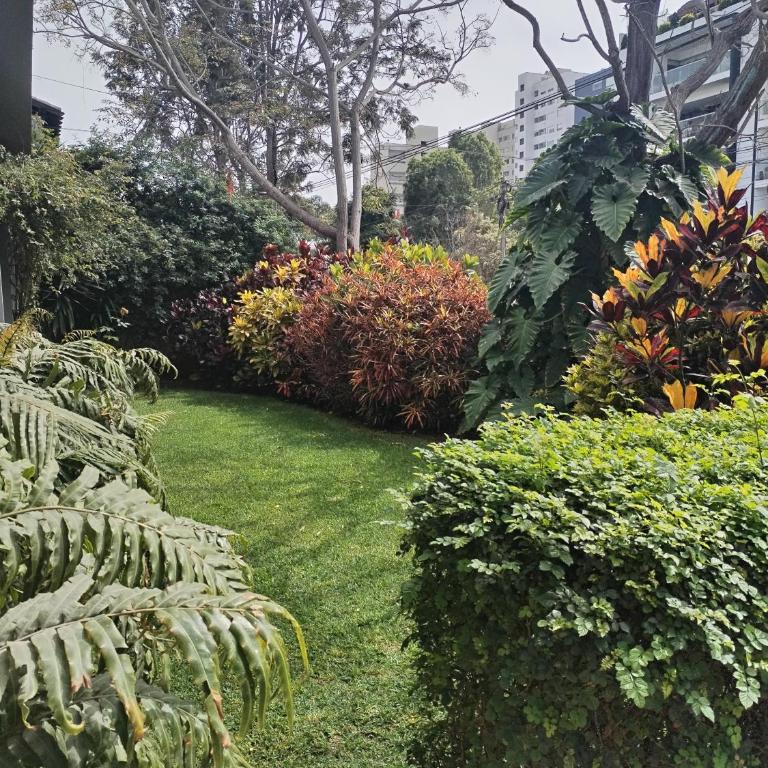 Spacious apartment - San Isidro - Two-Bedroom Superior Apartment - 2