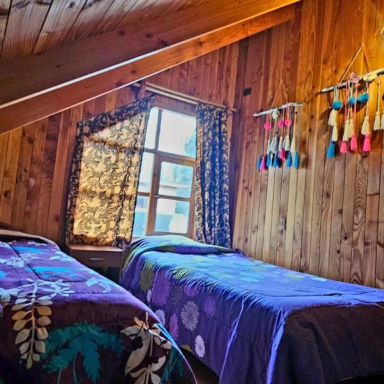 Cabaña Lemu - Chalet - 5