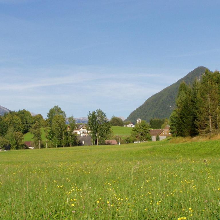 Die Traunmühle - Apartment mit schöner Aussicht - 39