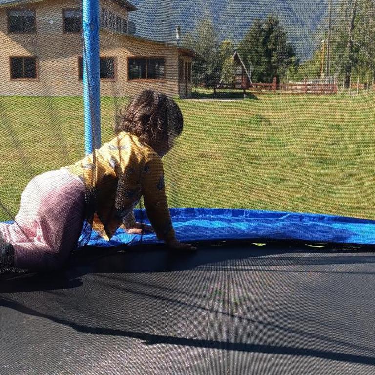 Cabaña Lemu - Chalet - 10