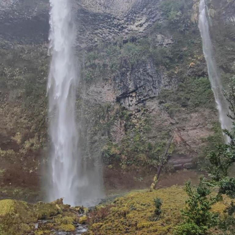 Cabaña Lemu - Chalet - 22