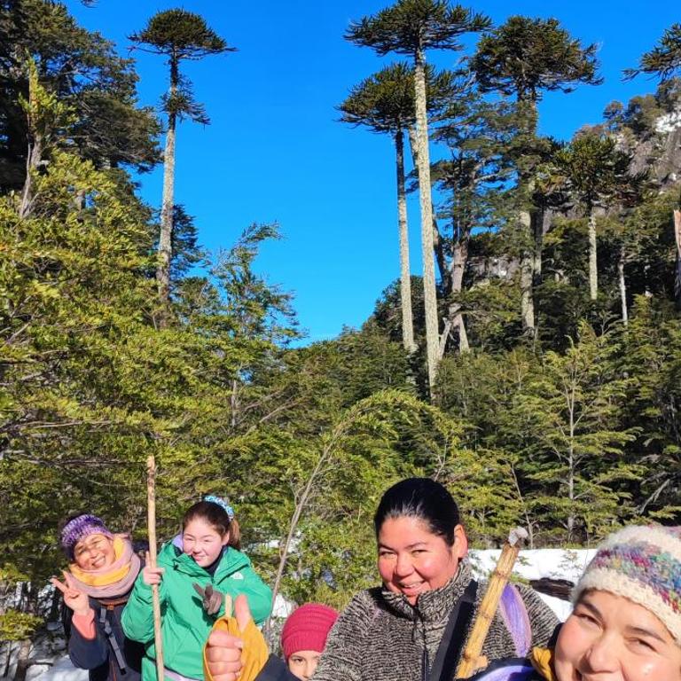 Cabaña Lemu - Chalet - 23