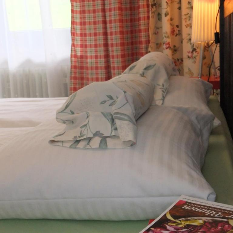 Apart-Pension Oberreiter - Classic Doppel-/Zweibettzimmer mit Balkon - 10