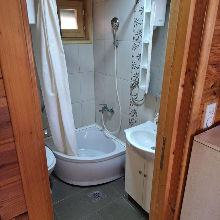 Apartmani brvnara gajevi - One-Bedroom Apartment - 7