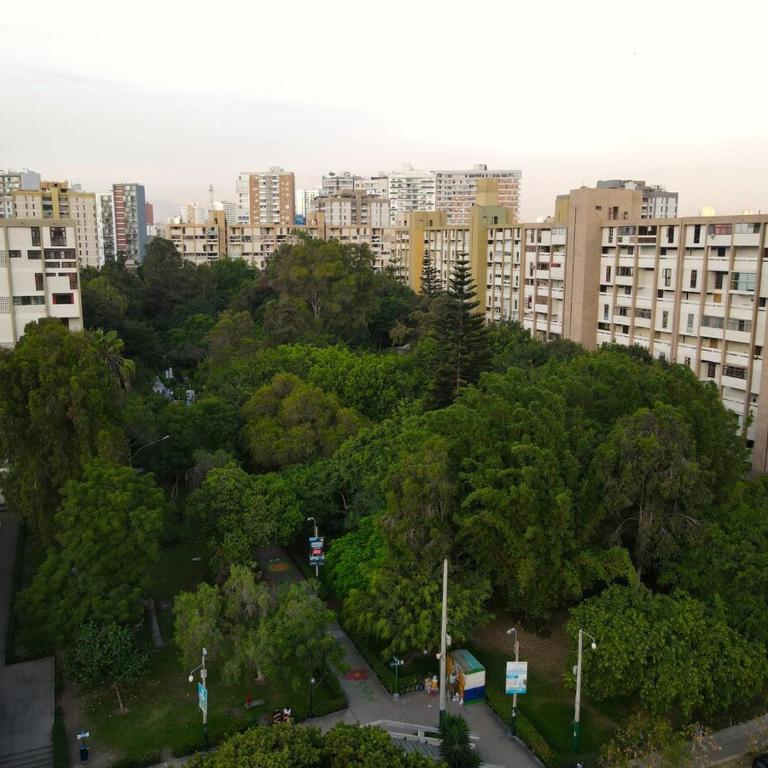 Elegant and spacious penthouse - Two-Bedroom Standard Apartment - 19