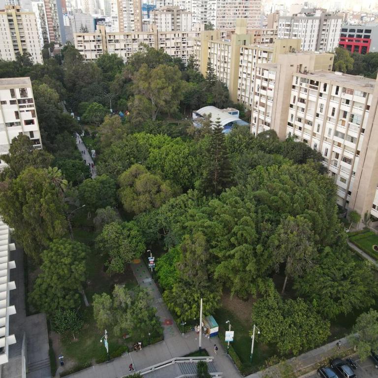 Elegant and spacious penthouse - Two-Bedroom Standard Apartment - 23
