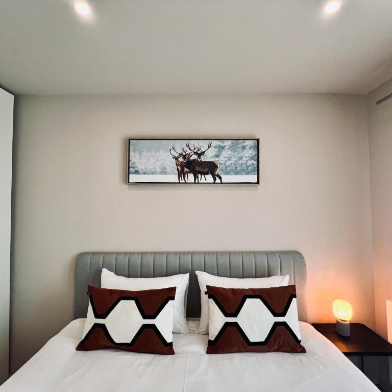 les colibris - Appartement 3 Chambres - 11