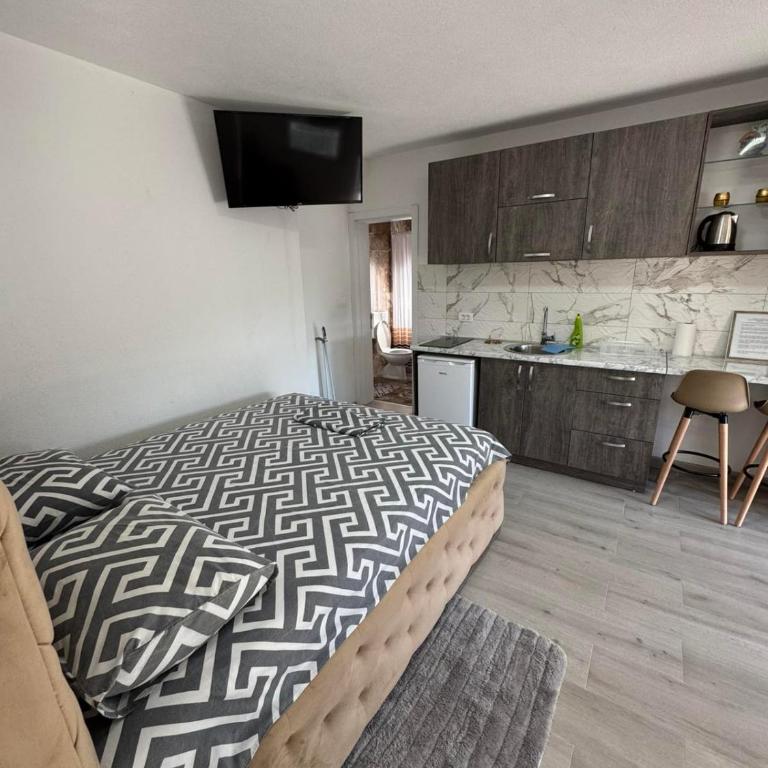 Spasic Apartments Sutomore - Deluks Soba - 7