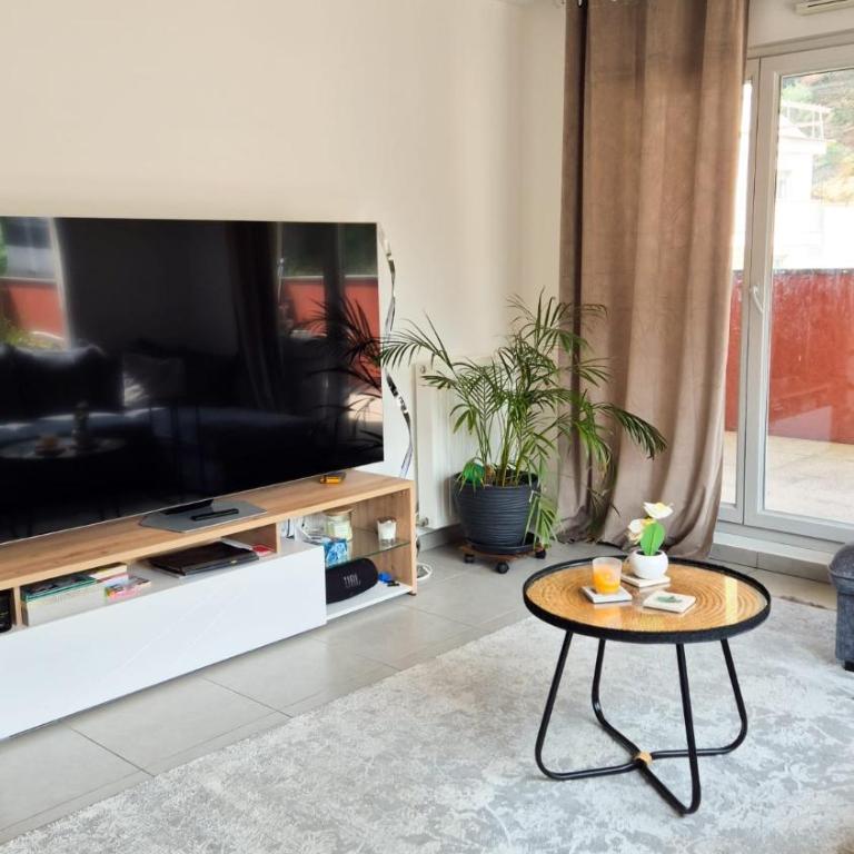 T4 avec grande terrasse - BBQ - parking - Appartement 3 Chambres - 14