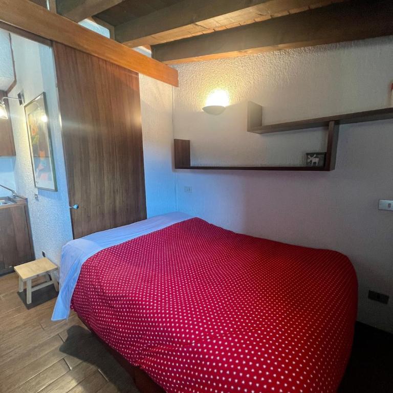 Monolocale Des Alpes 44 - Appartamento Monolocale con 1 Letto Matrimoniale - 6