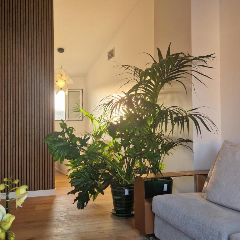 Luxe - New - Centre - 100m2 - Full clim - 3BDR - 3BTHR - 3WC - pkg - Deluxe Apartment mit 3 Schlafzimmern - 5