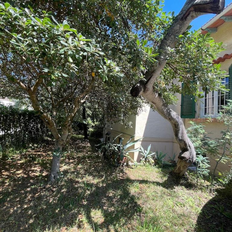 Villetta delle Acacie - Villa con 3 Camere da Letto - 7