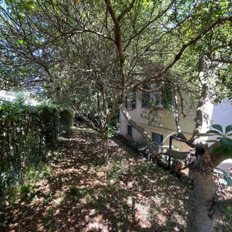 Villetta delle Acacie - Villa con 3 Camere da Letto - 20