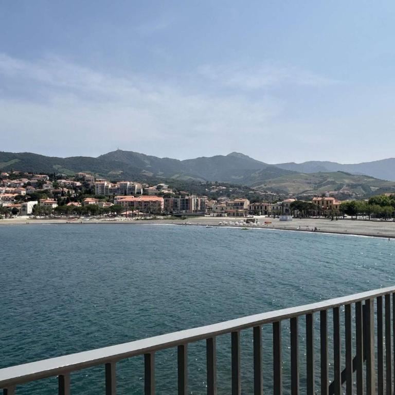 Appart studio cabine Banyuls Sur Mer BN630-002 - Studio Apartment with Sea View - 13