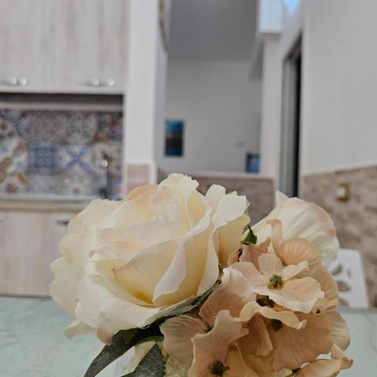 Clary Home Cefalu' - Appartamento con 1 Camera da Letto - 9
