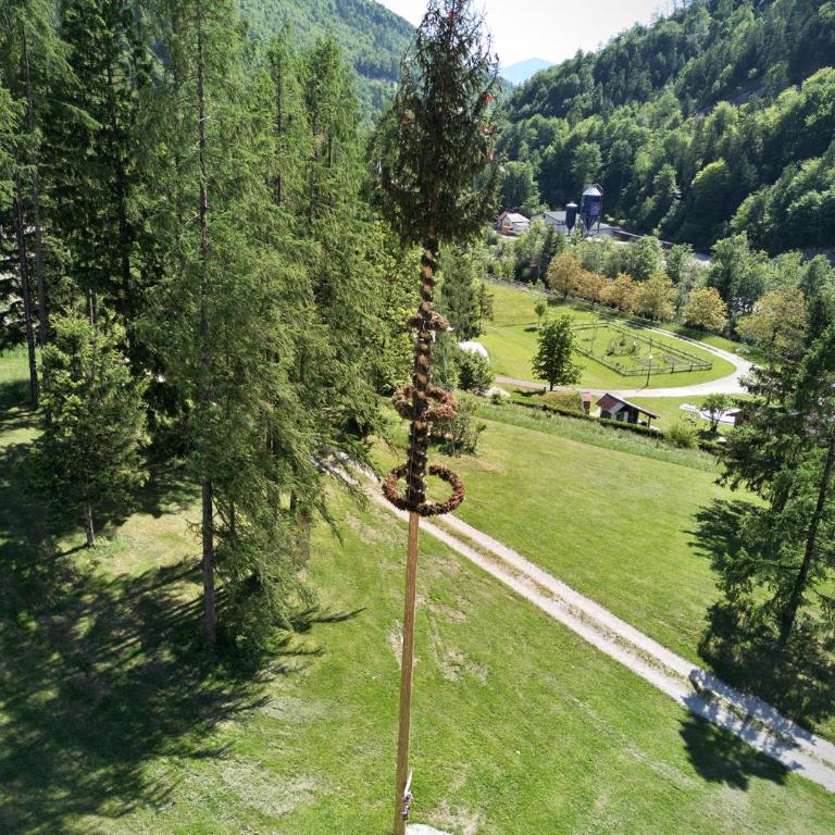 Seppenbauernhütte in Bad Ischl im Salzkammergut - Chalet mit 1 Schlafzimmer - 31