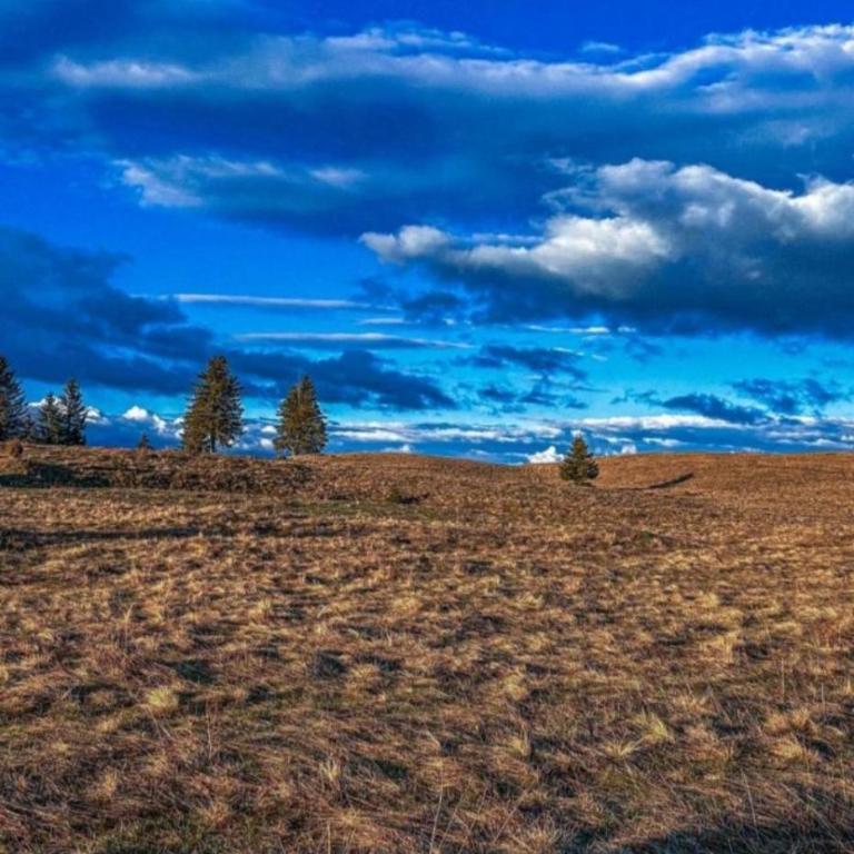Wooden house Durmitor - One-Bedroom House - 26