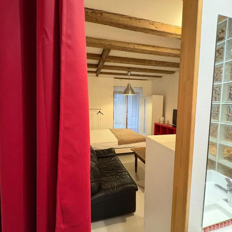 Studio calme - pentes de la croix rousse - Entrepot - Appartement 1 Chambre - 10