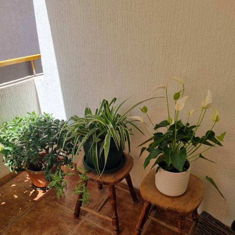 Apartman Xenia - Apartman sa 1 Spavaćom Sobom - 13