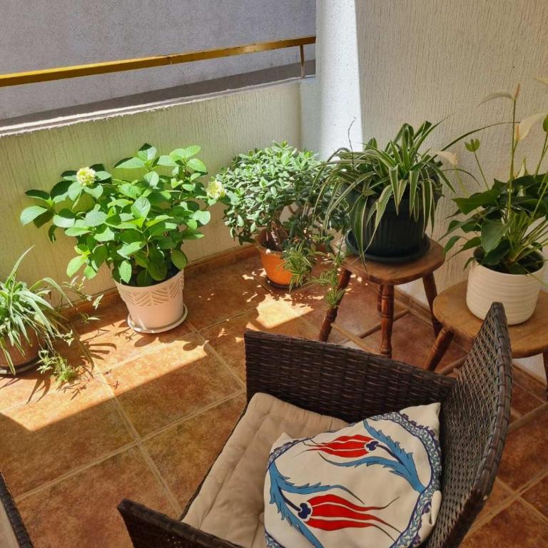 Apartman Xenia - Apartman sa 1 Spavaćom Sobom - 19