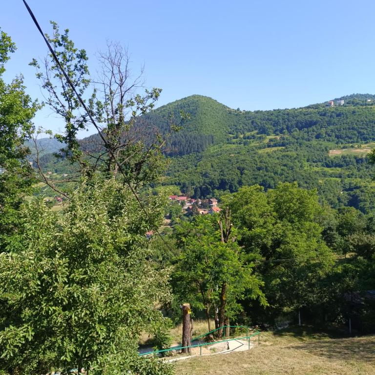 Positive vibes - Kuća sa 1 Spavaćom Sobom - 2