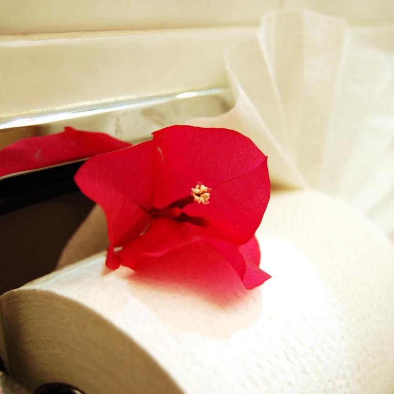 Hotel del Principado - Standard Single Room - 7