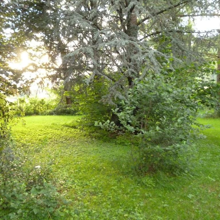 Helle und moderne Ferienwohnung im Allgäu für 2 Personen - Appartamento - Piano Terra - 31