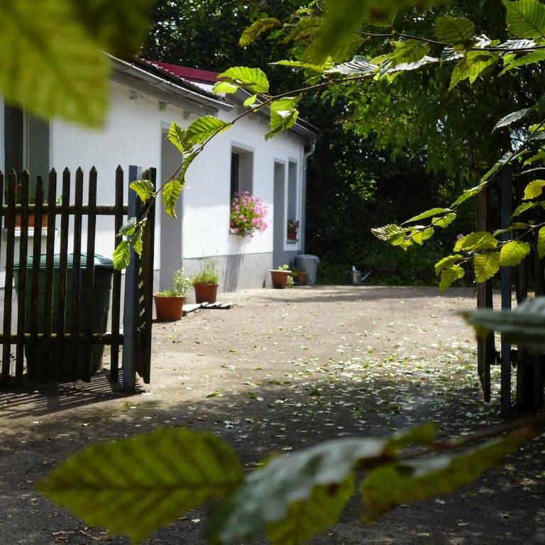 Helle und moderne Ferienwohnung im Allgäu für 2 Personen - Appartamento - Piano Terra - 39