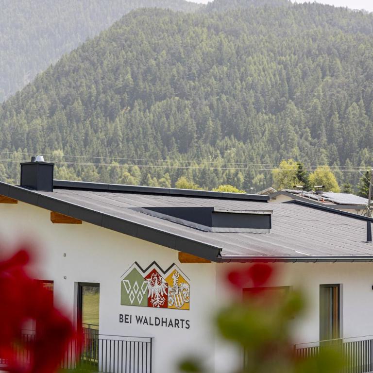 Chalet Waldhart - Ferienhaus mit 4 Zimmern - 56