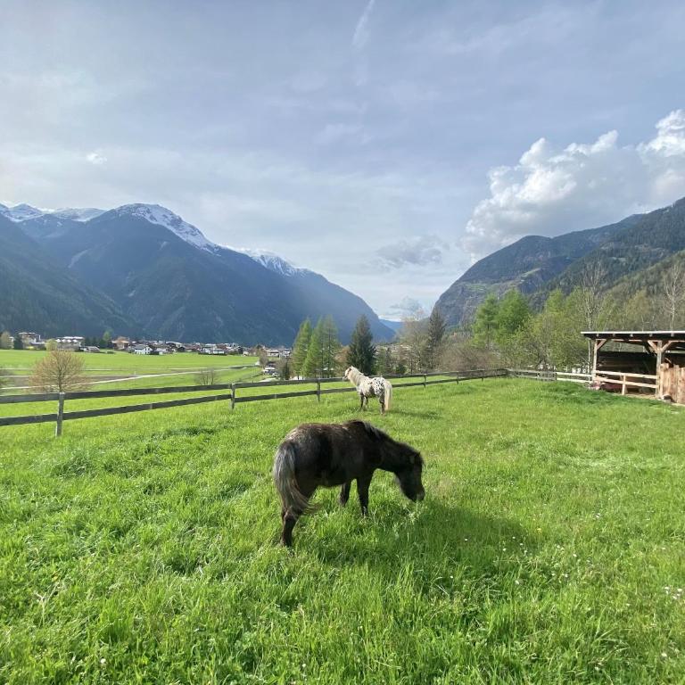 Chalet Waldhart - Ferienhaus mit 4 Zimmern - 59