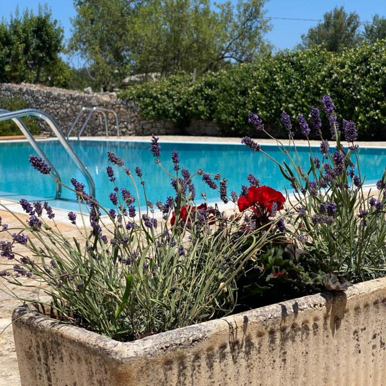 Masseria Cupina - Villa con 3 Camere da Letto - 22