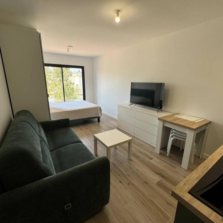 Studios Cannes Les 3 éléments - Studio mit Kingsize-Bett und Schlafsofa - 1