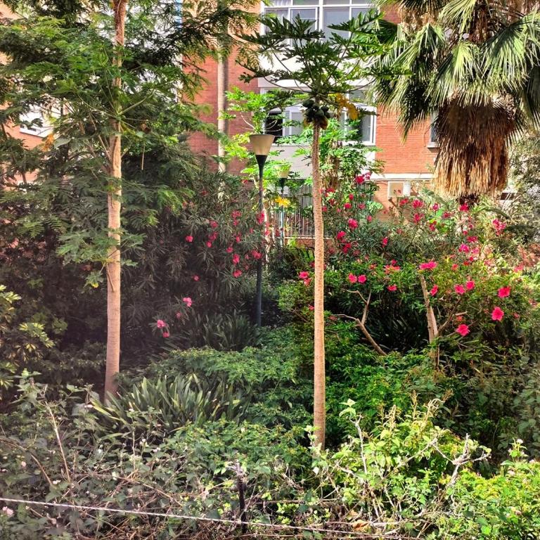 Almeria Tirso Apartment - Apartamento de 3 dormitorios - 16