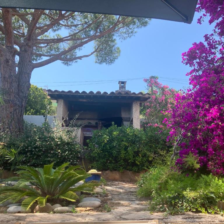 Campagne Vanrell - Villa mit Gartenblick - 18
