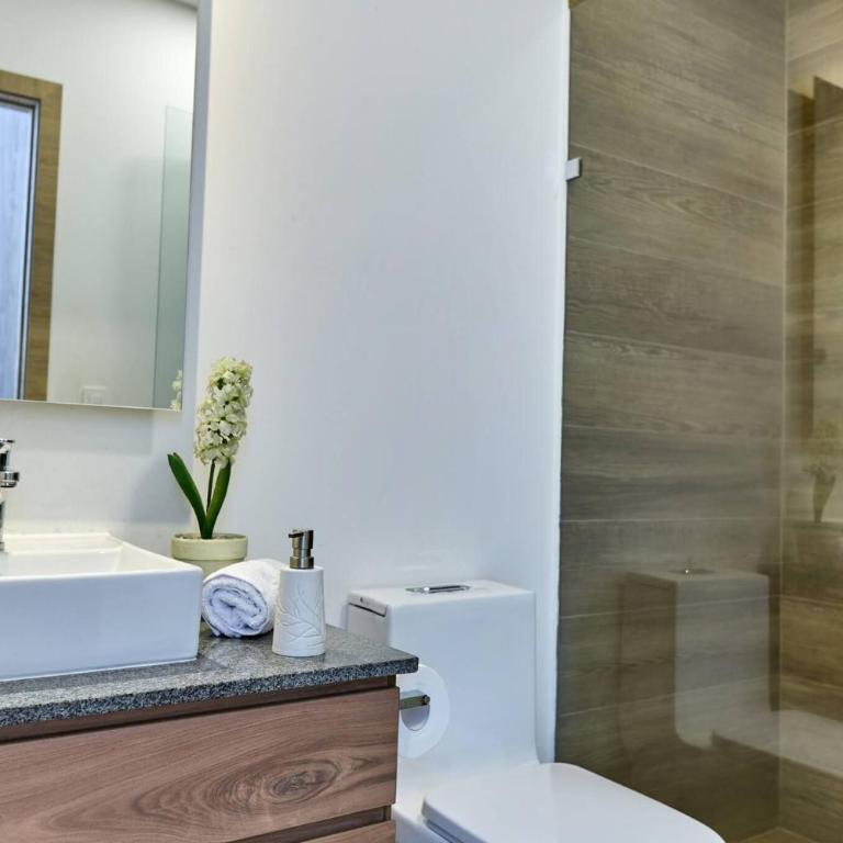 Beautiful apt-balcony in La Carolina 70 QLED TV - Apartment - 18
