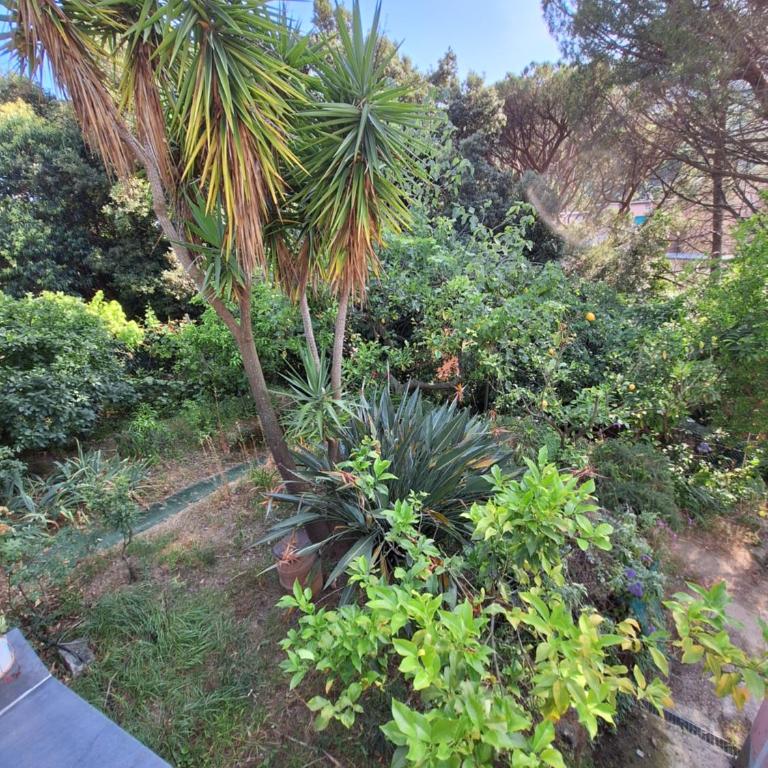 Terrace on the green - Appartamento con 1 Camera da Letto e Terrazza - 15