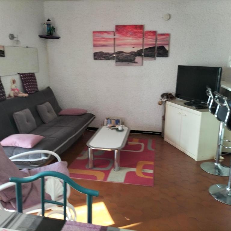 Appartement Front de Mer - Appartamento con 1 Camera da Letto - 11