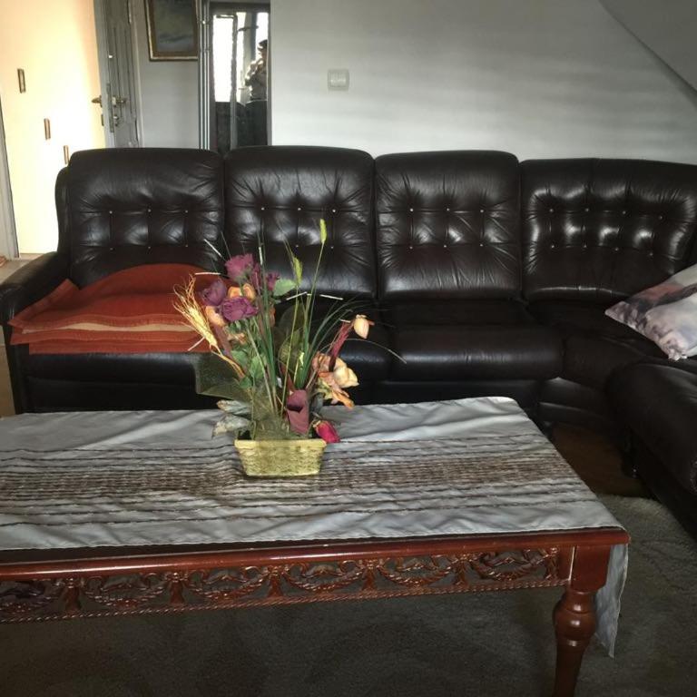 Garden Apartment Zlatibor - Centar - One-Bedroom Apartment - 5