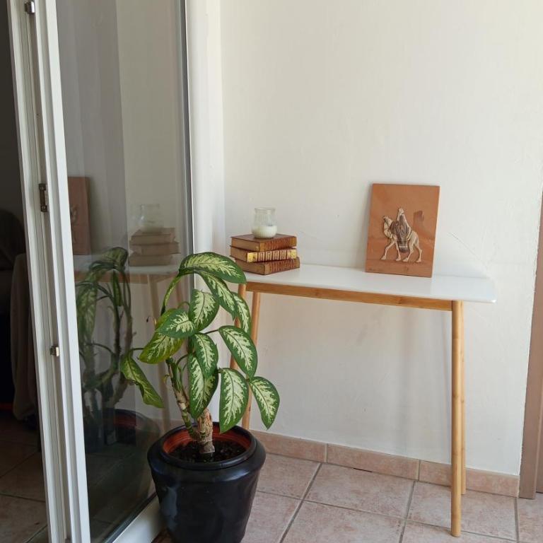 Maison de la plage - Studio - Vue sur Piscine - 4